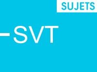 Bac 2014 : sujets SVT pour la série S